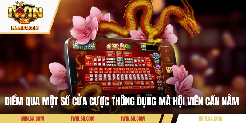 Vua Tài Xỉu IWIN – Bí Kíp Chơi Thông Minh Tổng Hợp Từ Chuyên Gia 2 Điểm qua một số cửa cược thông dụng mà hội viên cần nắm